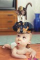 /album/stipne-a-srandovni-obrazky/beautiful-picture-of-the-child-and-animals-schones-bild-von-dem-kind-und-tiere-belle-photo-de-lenfant-et-les-animaux-jpg/